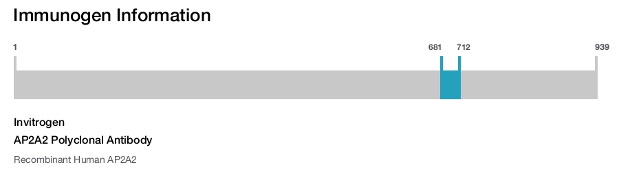 AP2A2 Polyclonal Antibody