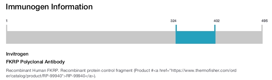 FKRP Polyclonal Antibody