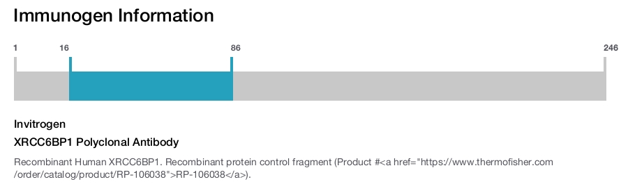 XRCC6BP1 Polyclonal Antibody