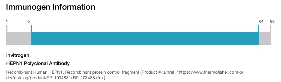 HEPN1 Polyclonal Antibody