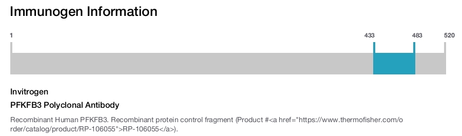 PFKFB3 Polyclonal Antibody