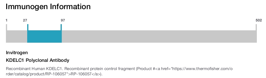 KDELC1 Polyclonal Antibody