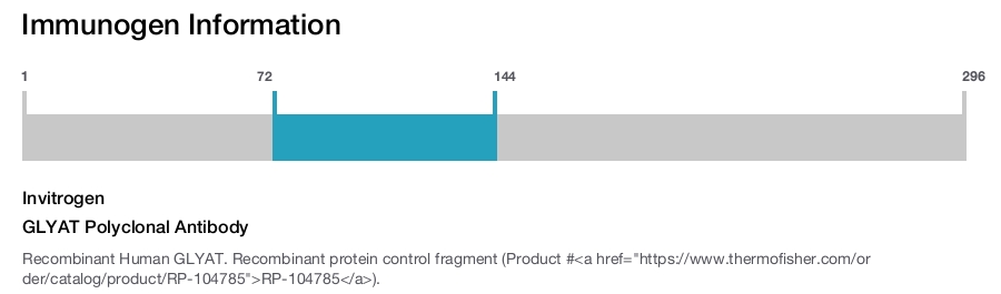 GLYAT Polyclonal Antibody