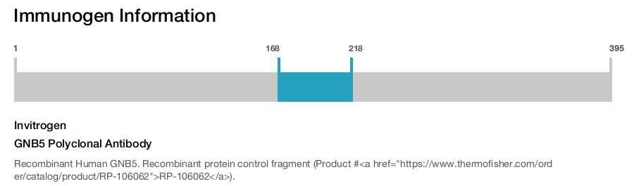 GNB5 Polyclonal Antibody