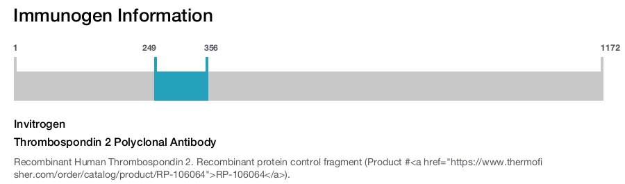 Thrombospondin 2 Polyclonal Antibody