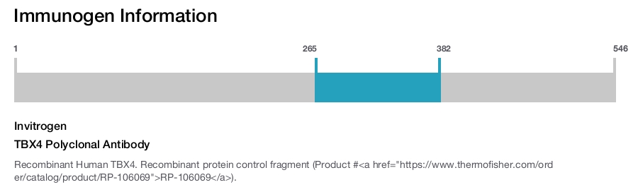 TBX4 Polyclonal Antibody