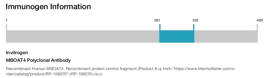 MBOAT4 Polyclonal Antibody