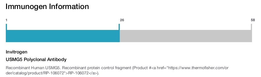 USMG5 Polyclonal Antibody