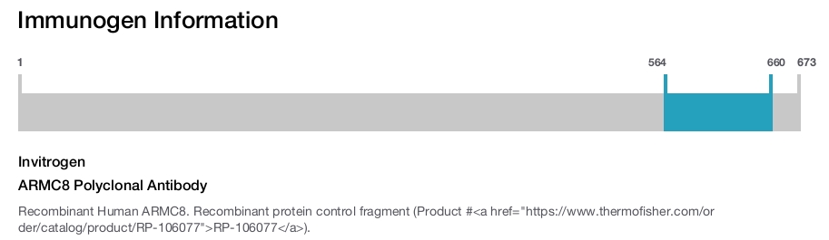 ARMC8 Polyclonal Antibody