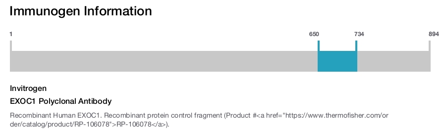 EXOC1 Polyclonal Antibody