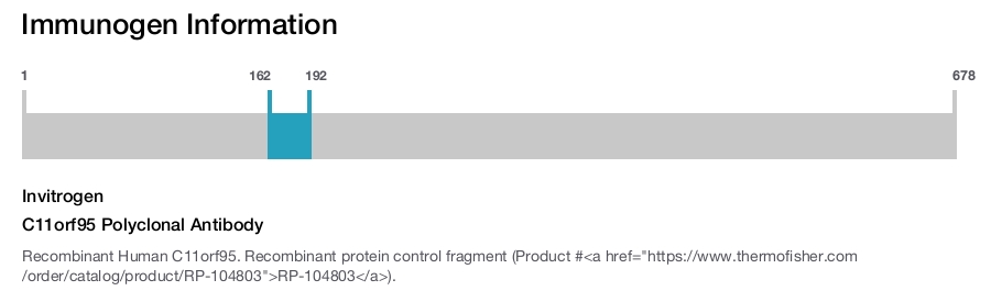 C11orf95 Polyclonal Antibody