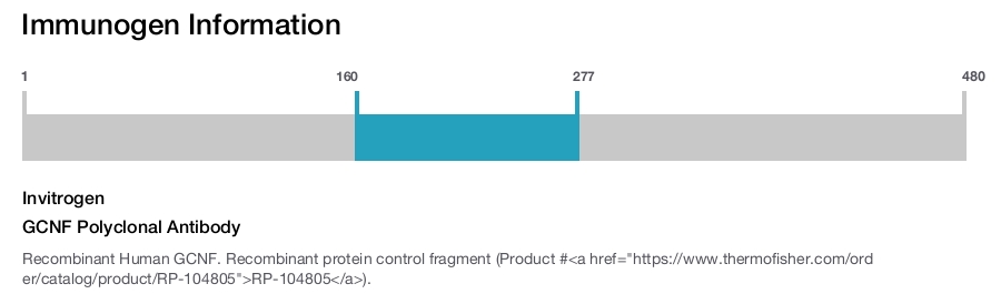 GCNF Polyclonal Antibody