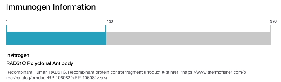 RAD51C Polyclonal Antibody