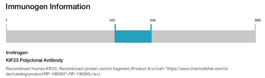 KIF23 Polyclonal Antibody