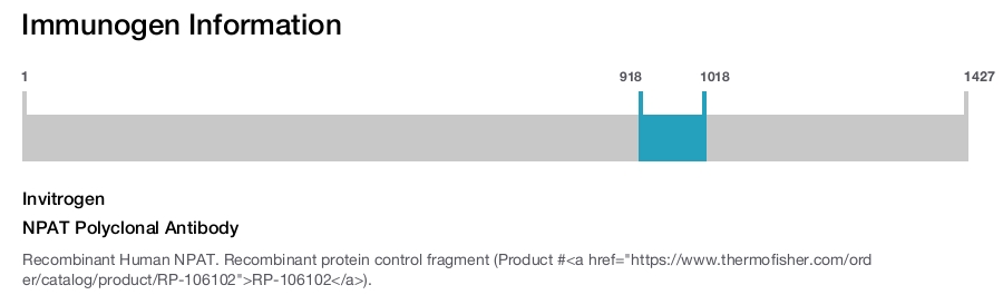 NPAT Polyclonal Antibody