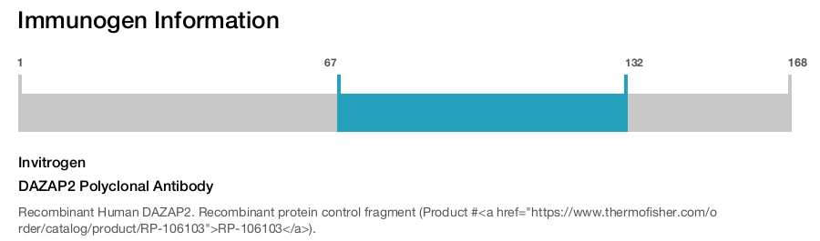 DAZAP2 Polyclonal Antibody