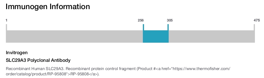 SLC29A3 Polyclonal Antibody
