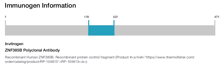 ZNF385B Polyclonal Antibody