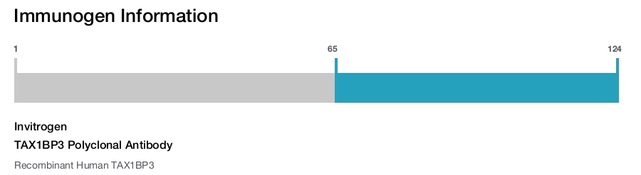 TAX1BP3 Polyclonal Antibody