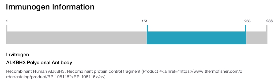 ALKBH3 Polyclonal Antibody
