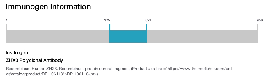 ZHX3 Polyclonal Antibody