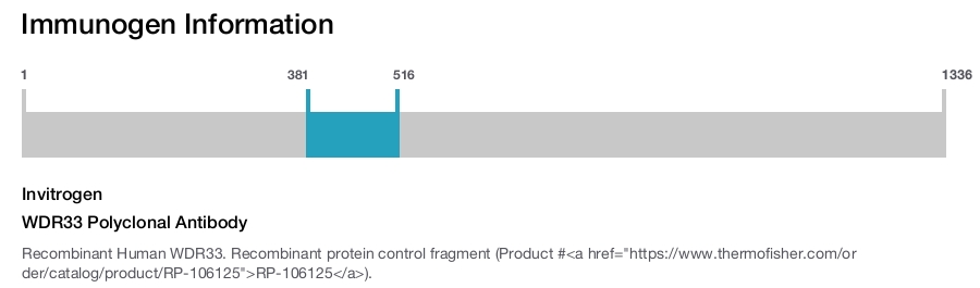 WDR33 Polyclonal Antibody