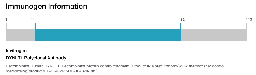 DYNLT1 Polyclonal Antibody