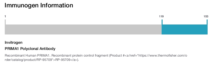 PRIMA1 Polyclonal Antibody
