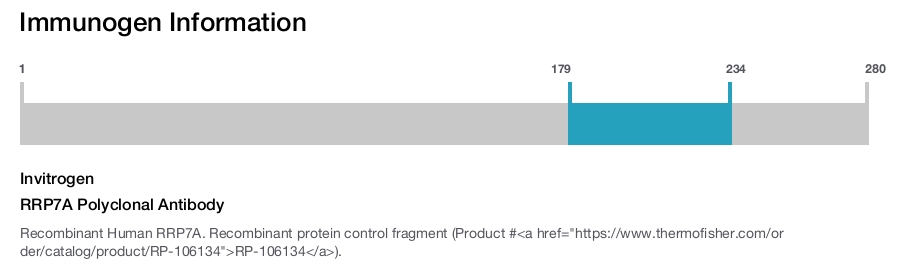 RRP7A Polyclonal Antibody