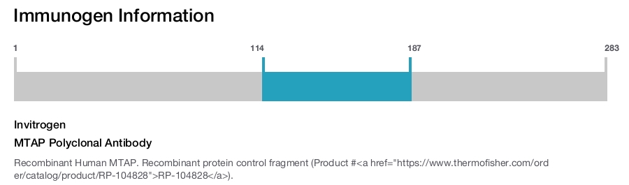 MTAP Polyclonal Antibody