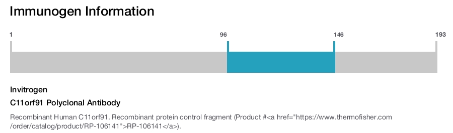 C11orf91 Polyclonal Antibody