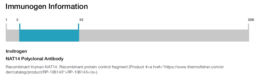 NAT14 Polyclonal Antibody