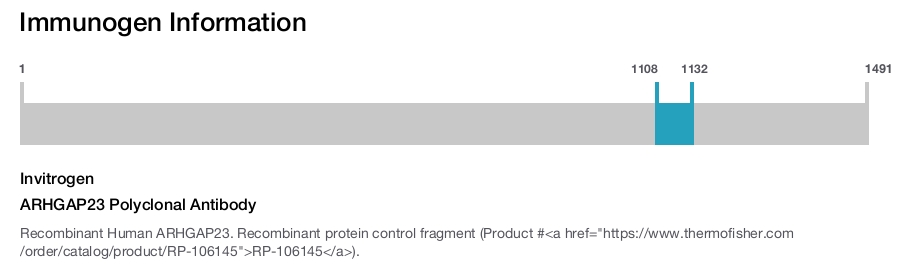 ARHGAP23 Polyclonal Antibody