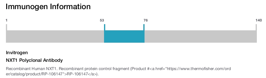 NXT1 Polyclonal Antibody