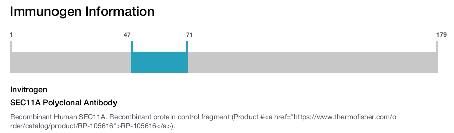 SEC11A Polyclonal Antibody