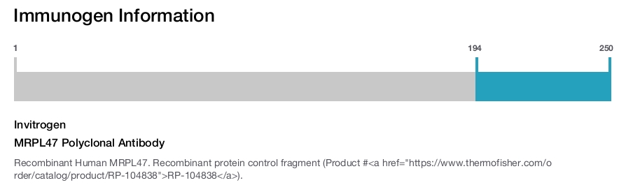 MRPL47 Polyclonal Antibody