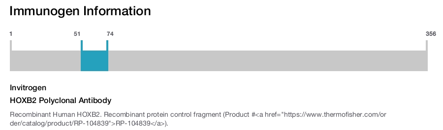 HOXB2 Polyclonal Antibody
