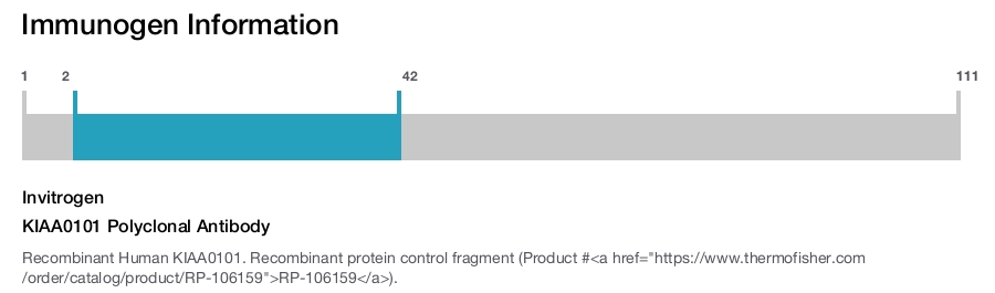 KIAA0101 Polyclonal Antibody