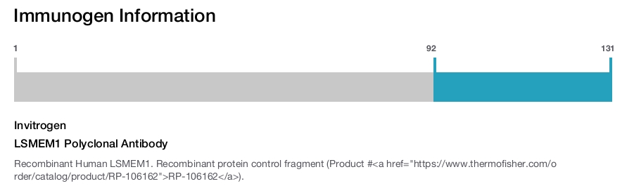 LSMEM1 Polyclonal Antibody