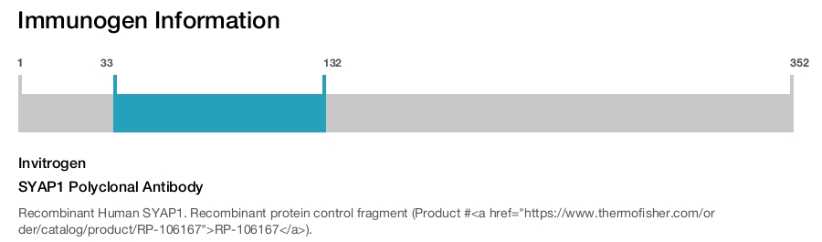 SYAP1 Polyclonal Antibody