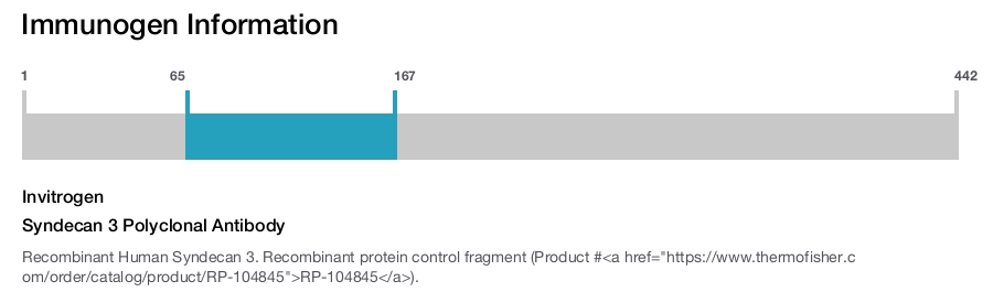 Syndecan 3 Polyclonal Antibody