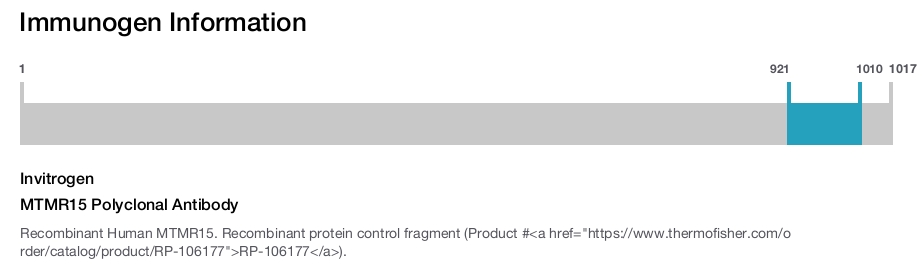 MTMR15 Polyclonal Antibody