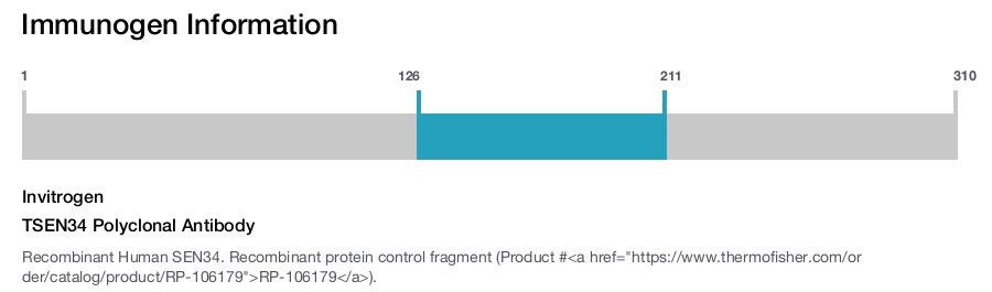 TSEN34 Polyclonal Antibody