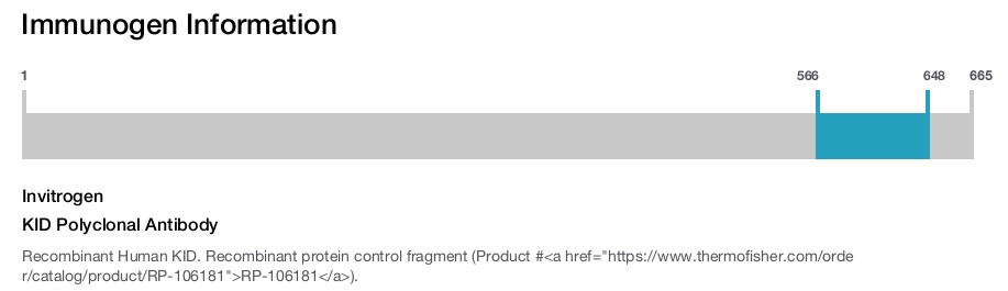 KID Polyclonal Antibody