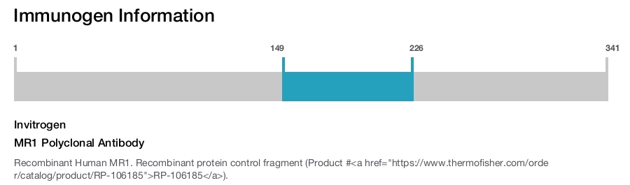 MR1 Polyclonal Antibody
