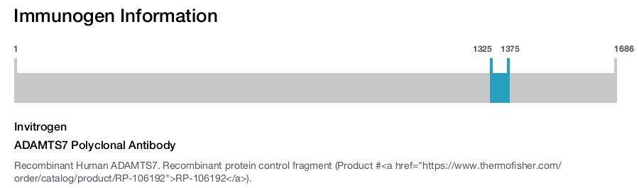 ADAMTS7 Polyclonal Antibody