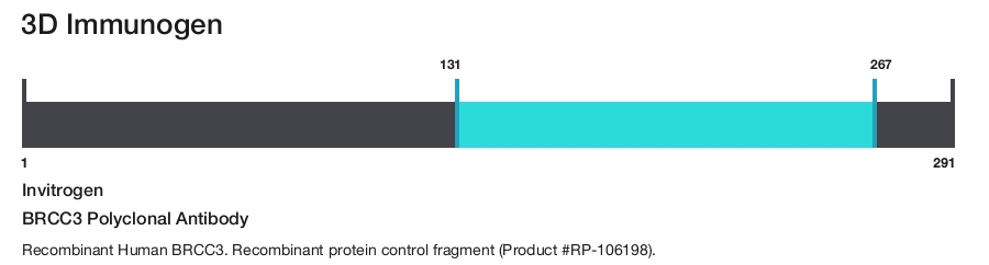 BRCC3 Polyclonal Antibody