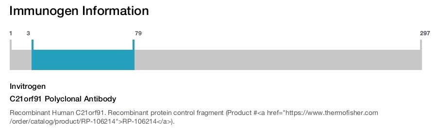 C21orf91 Polyclonal Antibody
