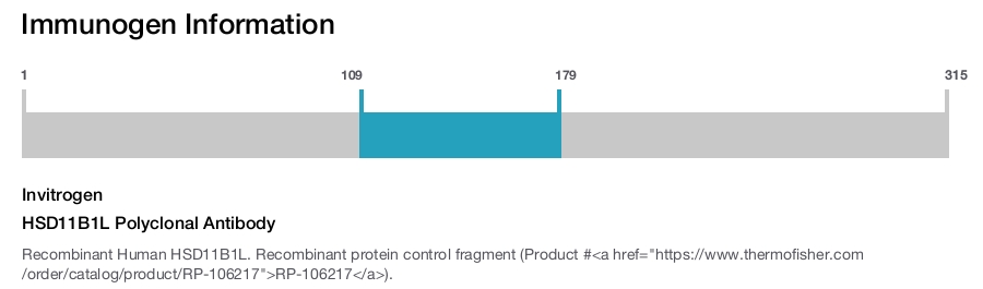 HSD11B1L Polyclonal Antibody