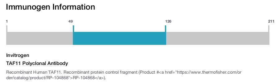 TAF11 Polyclonal Antibody